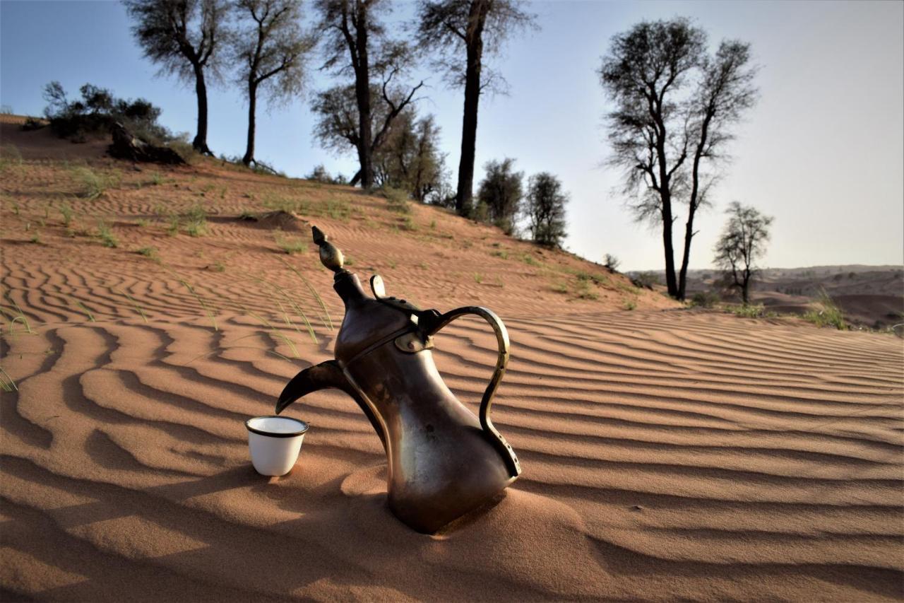 Bedouin Oasis Desert Camp- Ras Al Khaimah Zewnętrze zdjęcie